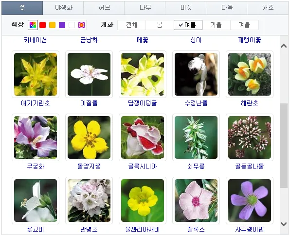 여름꽃 종류 모음 여름 꽃나무 추천 12가지 정리_3