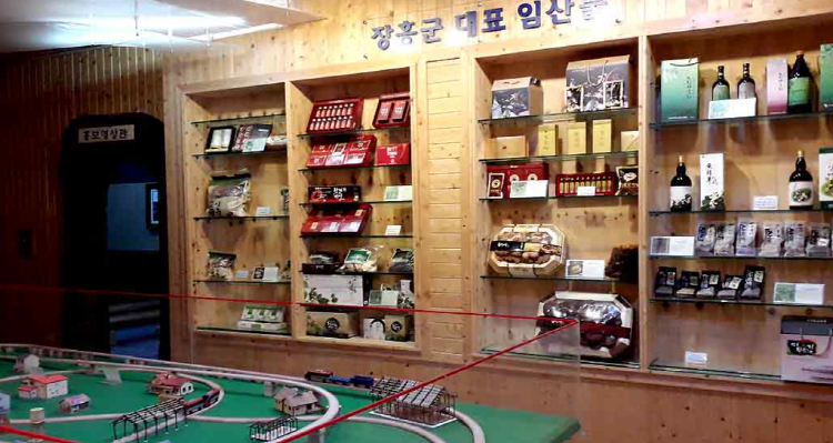 장흥 우드랜드 편백숲