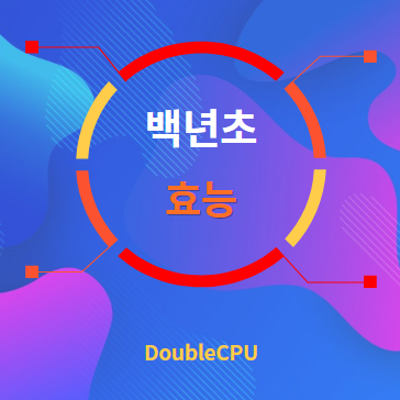 백년초 효능 탐구