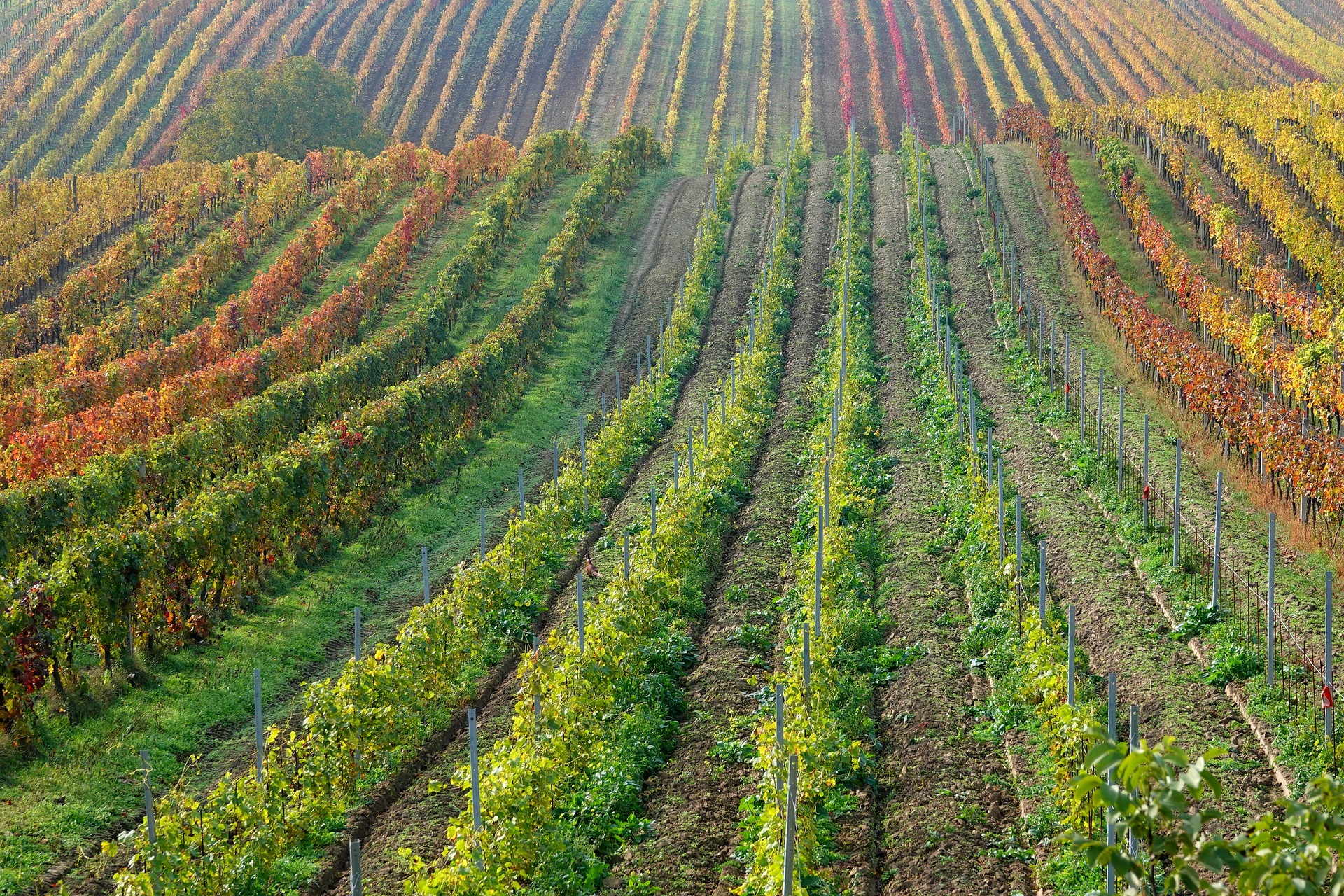 개발부담금 산정 방식과 예상 금액 계산 방법