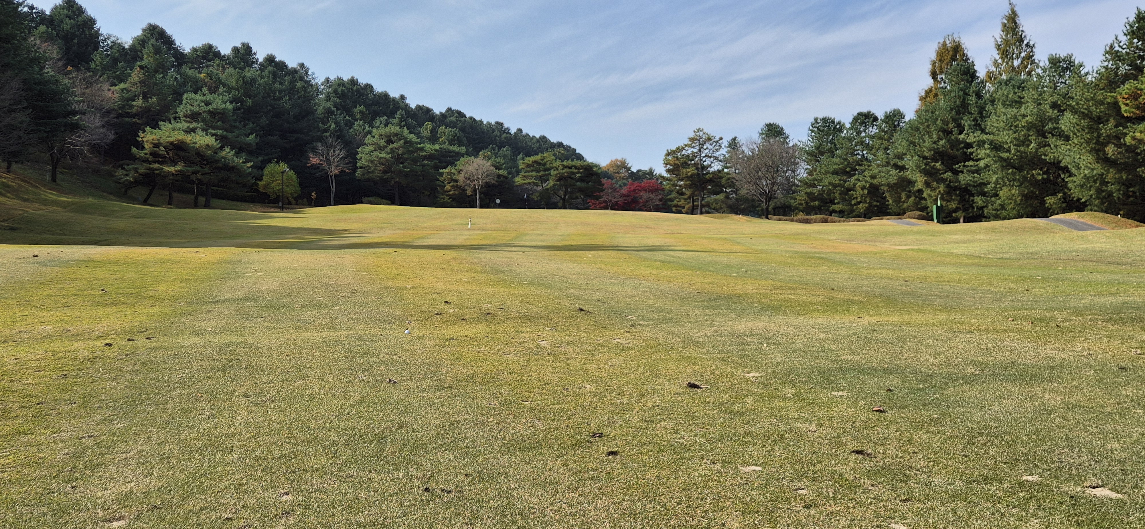 시그너스cc 실크코스 사진 및 공략 정보