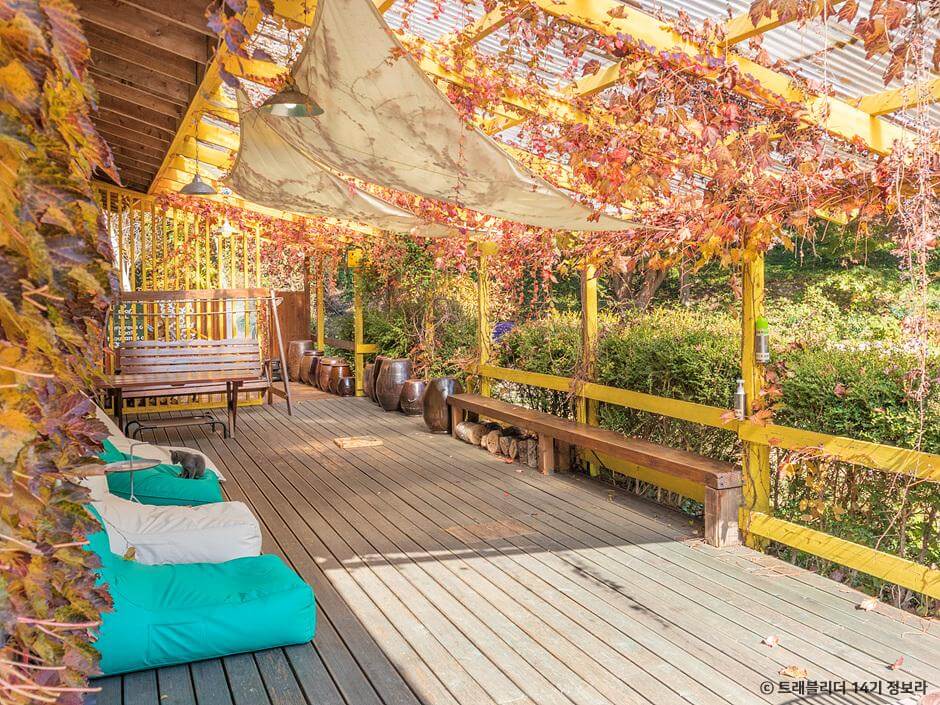 가을 여행지 강원도 단풍 구경 추천 장소