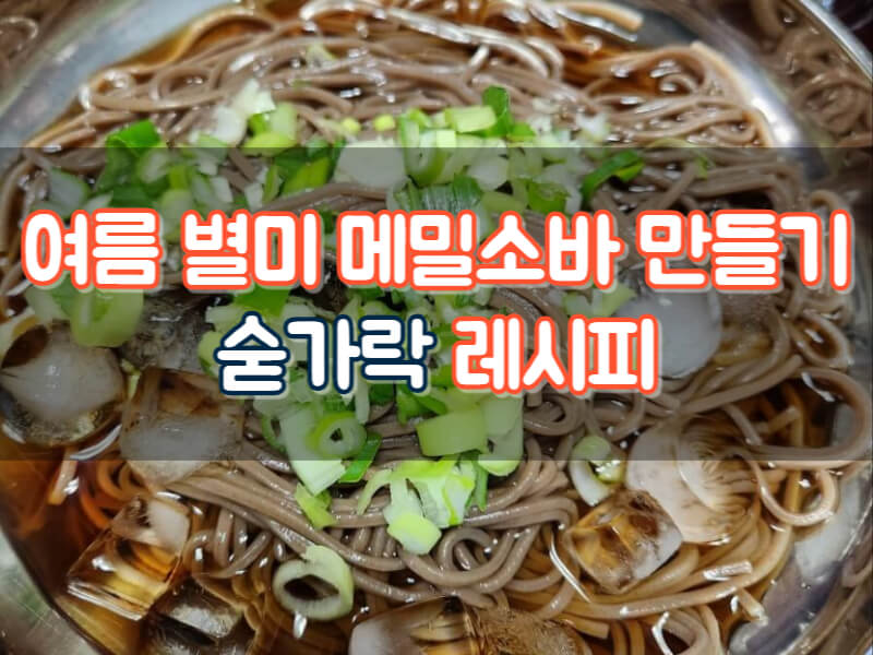 메밀소바 만드는 법 메밀국수 레시피 효능 칼로리 여름음식