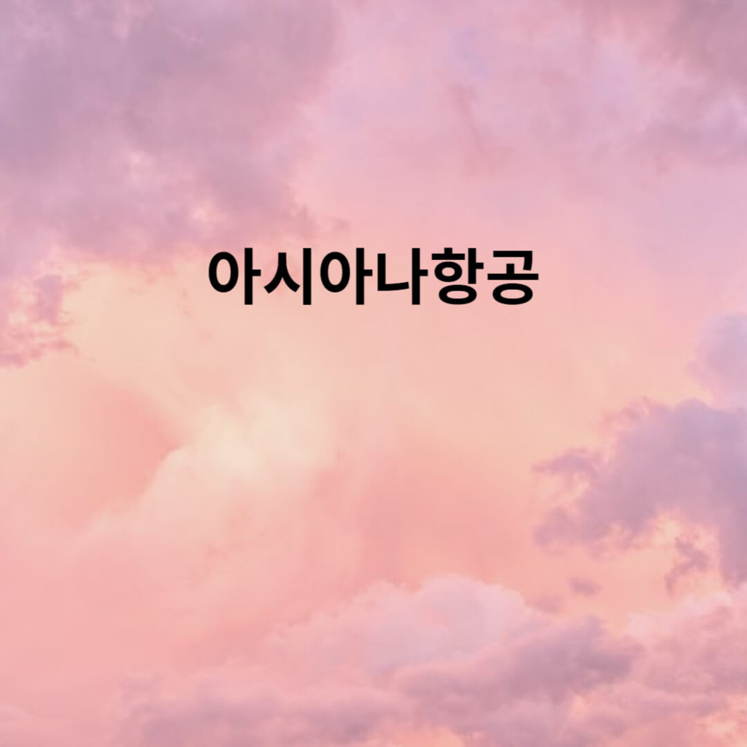 아시아나 항공 기단에 대하여