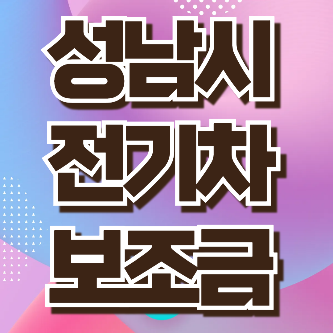 성남시 전기차 보조금