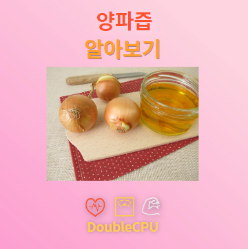 양파즙 탐구