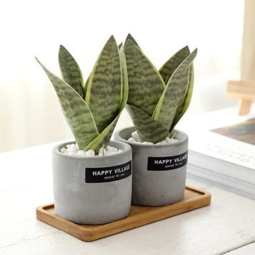 개업 축하 문구