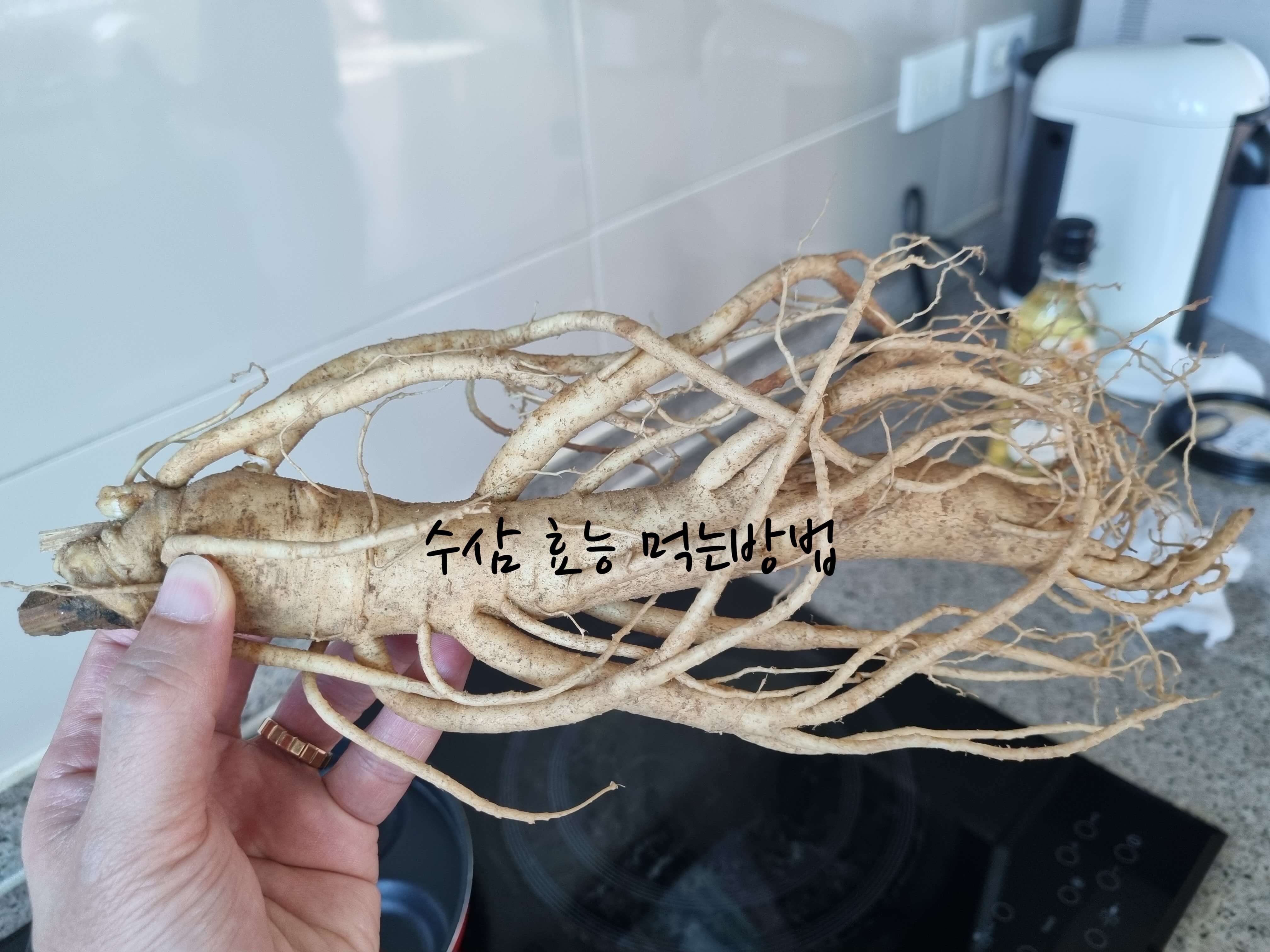 수삼 효능