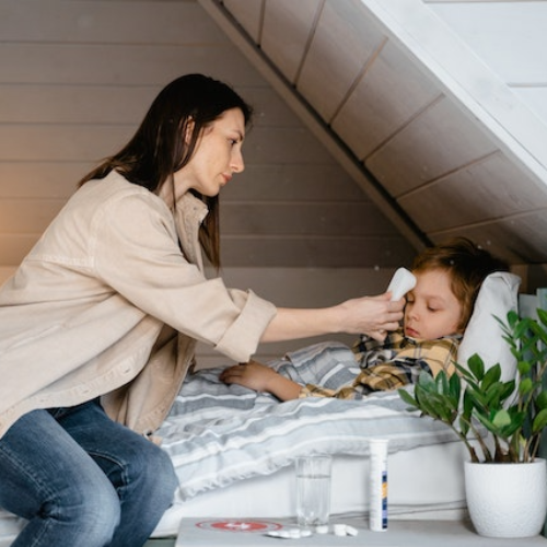 인플루엔자 독감 예방 접종