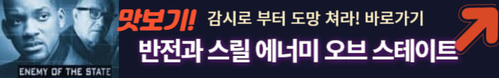 감시로 부터 도망