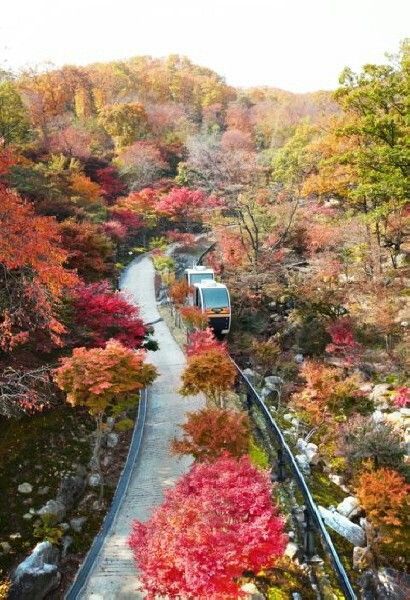 화담숲 가을 모습