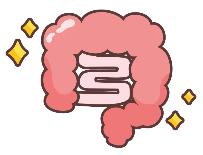 배변활동에 도움을 주는 카무트 쌀