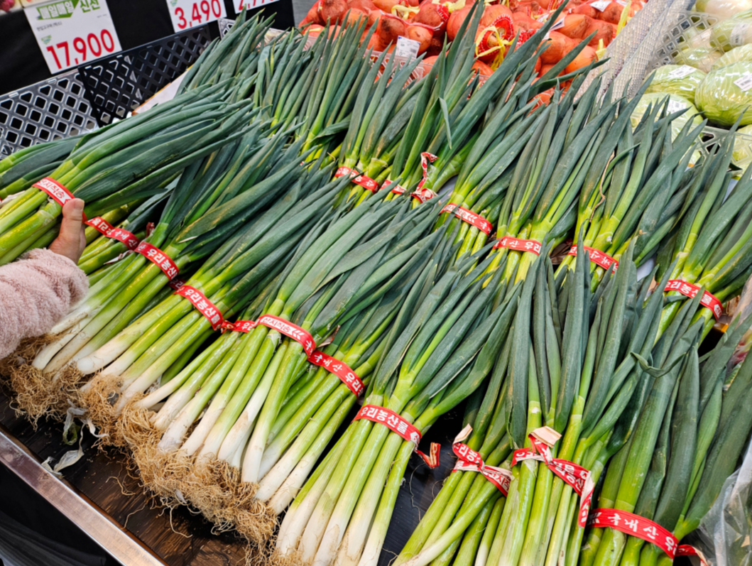봄철 주요 채소인 대파 가격이 급등한 마트 진열대 모습