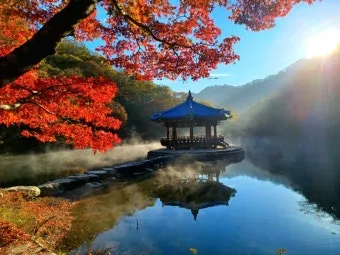 내장산 단풍터널 드라이브 코스 주차장 위치까지 총정리_16