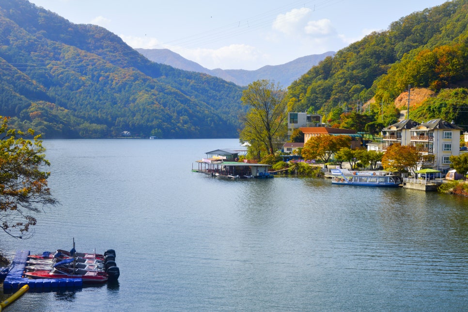 가을단풍드라이브