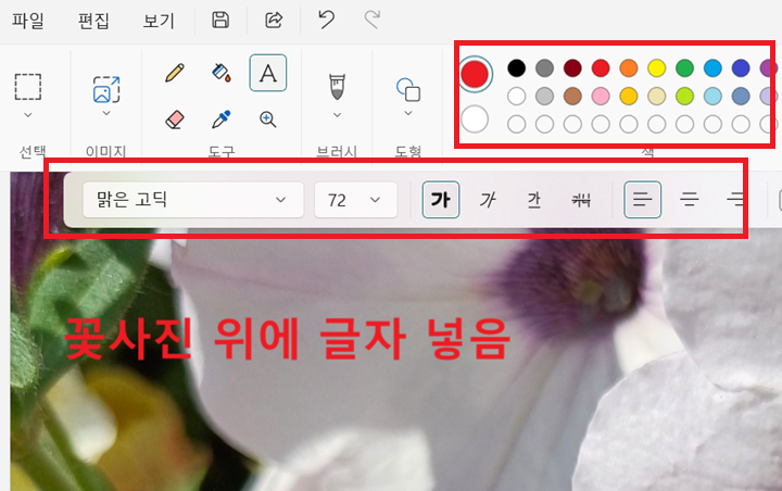 글씨 넣기 도구 보임