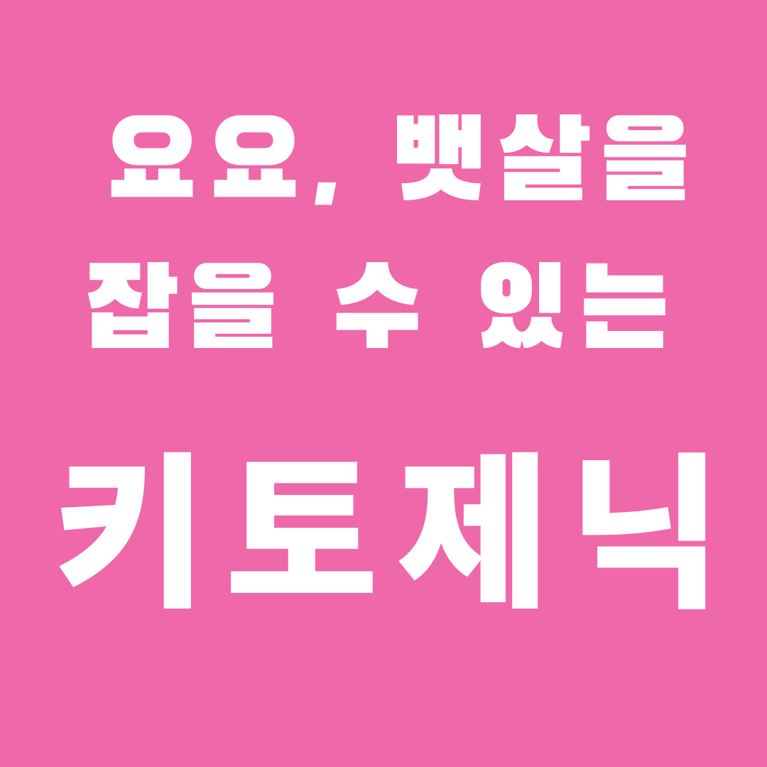 요요, 뱃살을 잡을 수 있는 키토제닉