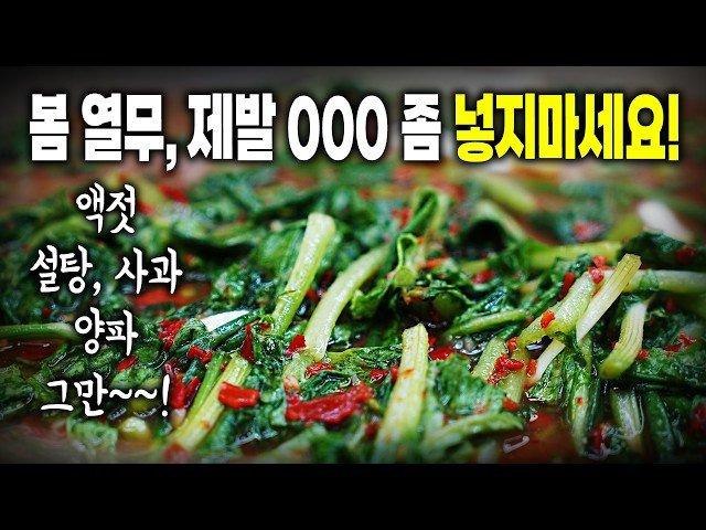 낭비❌ 초간단 근본 봄 열무김치 비법🔥 진짜 맛있음 주의 ㅠ 봄열무는 이렇게해야 진짜!
