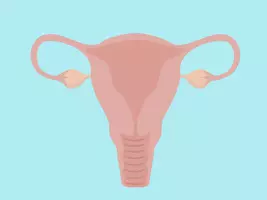 인유두종바이러스 치료