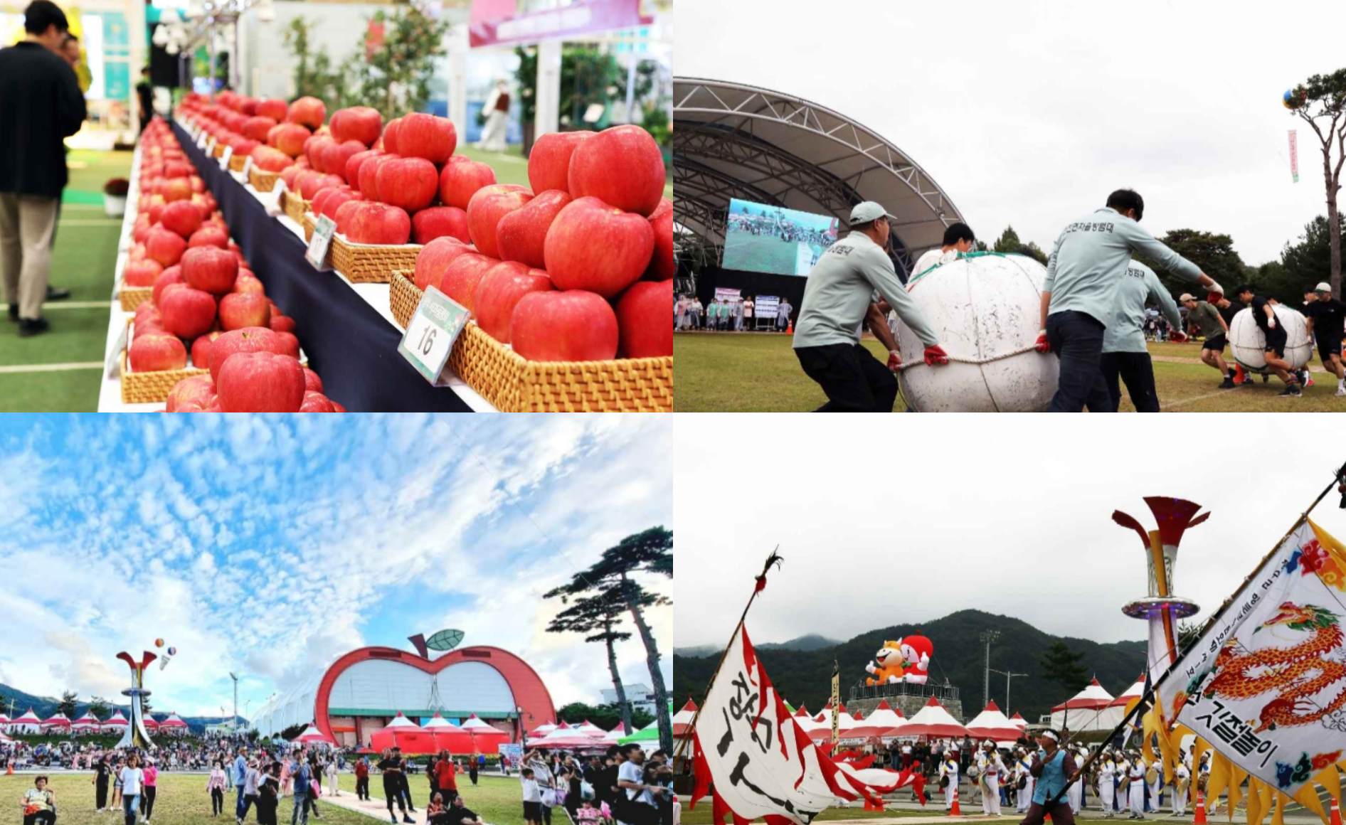 장수 한우랑 사과랑 축제