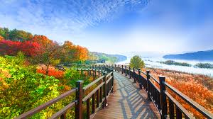 대청호반길 단풍 명소