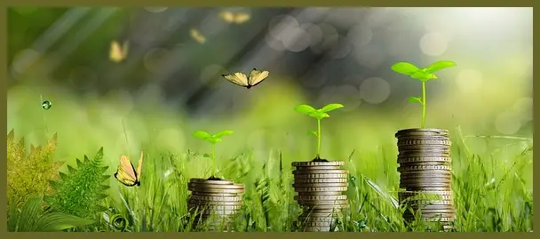 매직에덴 코인 상장 시간 가격 시세 전망