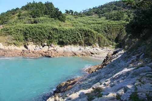 6시내고향 8297회 전남 여수 손죽도 배편 및 손죽도어촌마을식당