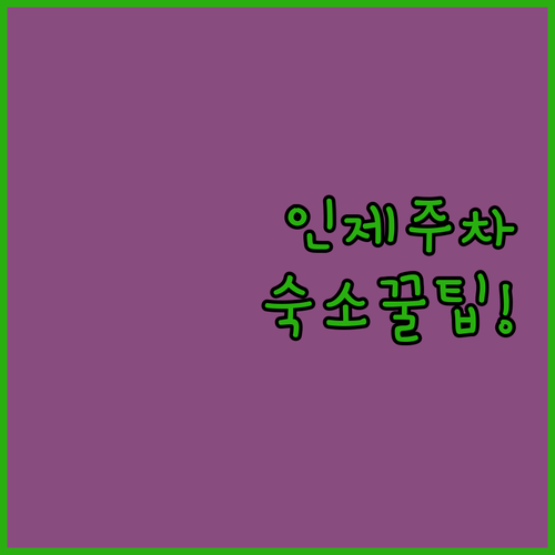 강원도 인제읍사무소 근처 공영 주차장..