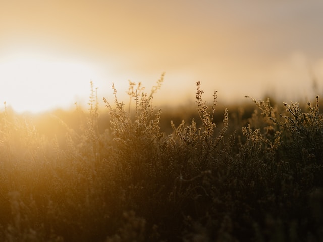 서울 해돋이 시간 2026&amp;#44; 병오년 첫날