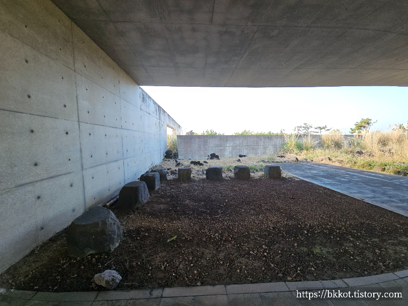 제주도 유민미술관