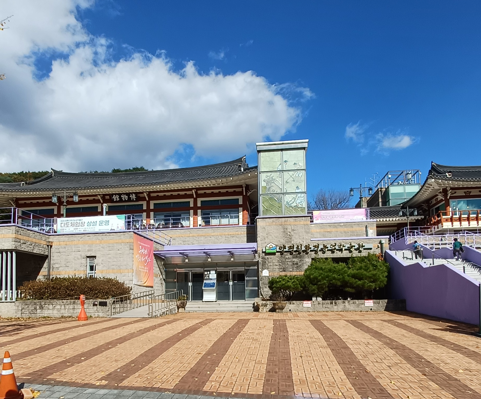 용문산-은행나무-19