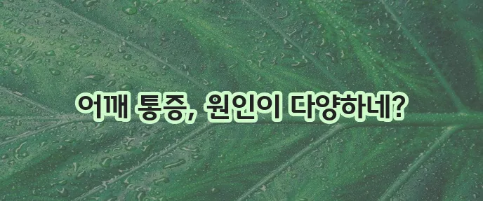 어깨통증 유발하는 주요 질환들을 알아봅시다!