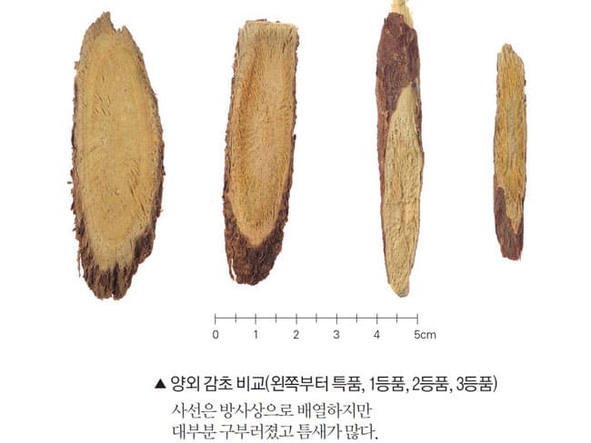 양외 감초 비교