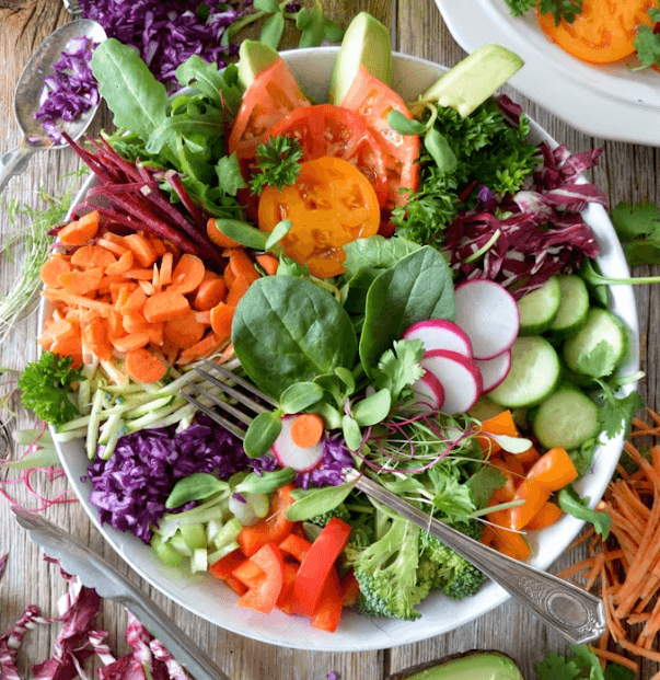 장 건강 핵심! 장 건강 영양제 완벽 가이드