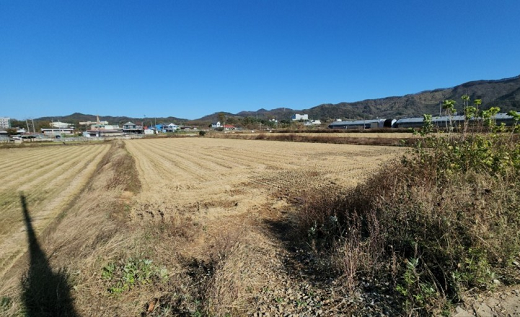 상속과 증여