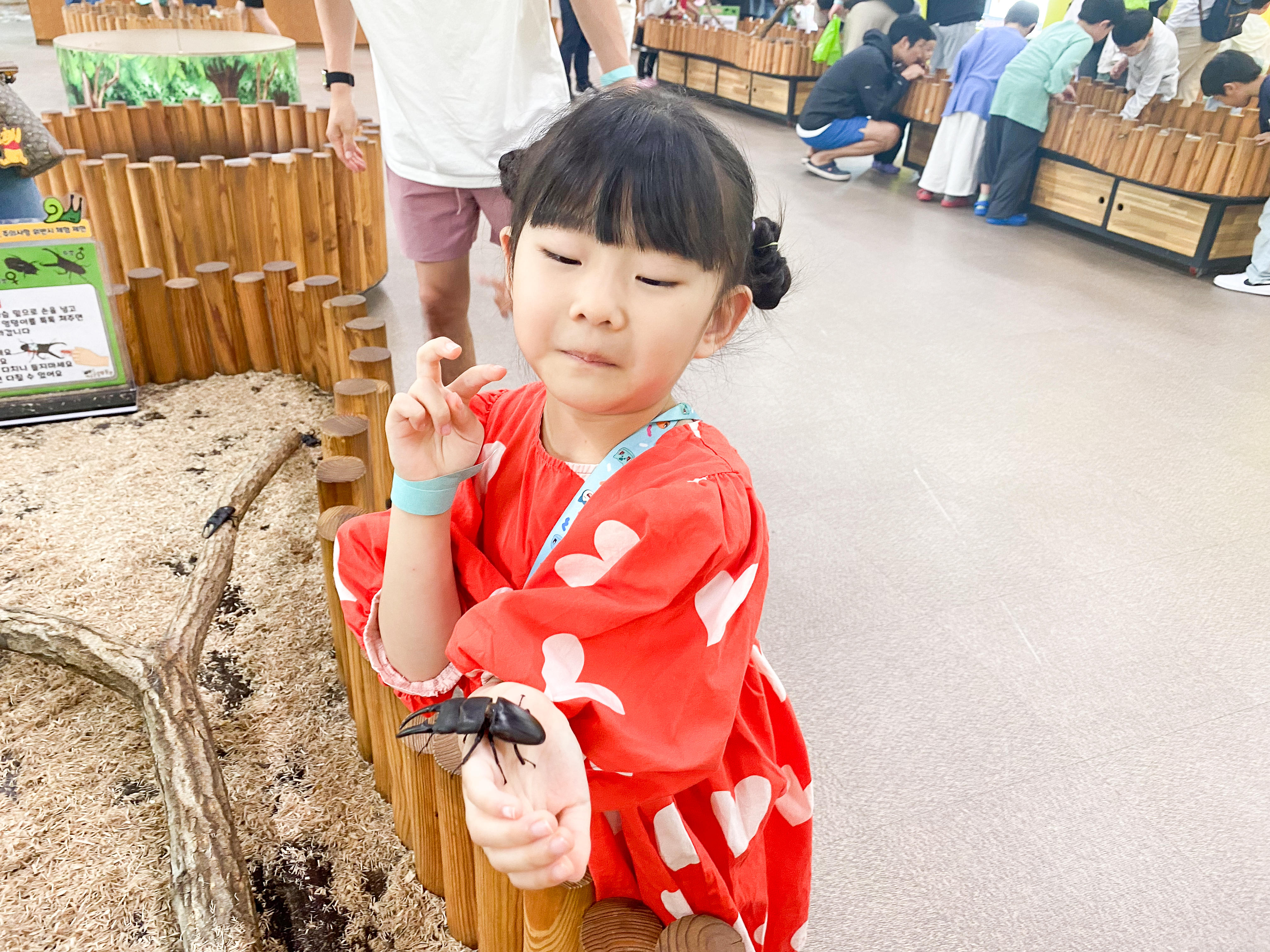 용기내어 손바닥에 곤충을 올려본 샛별