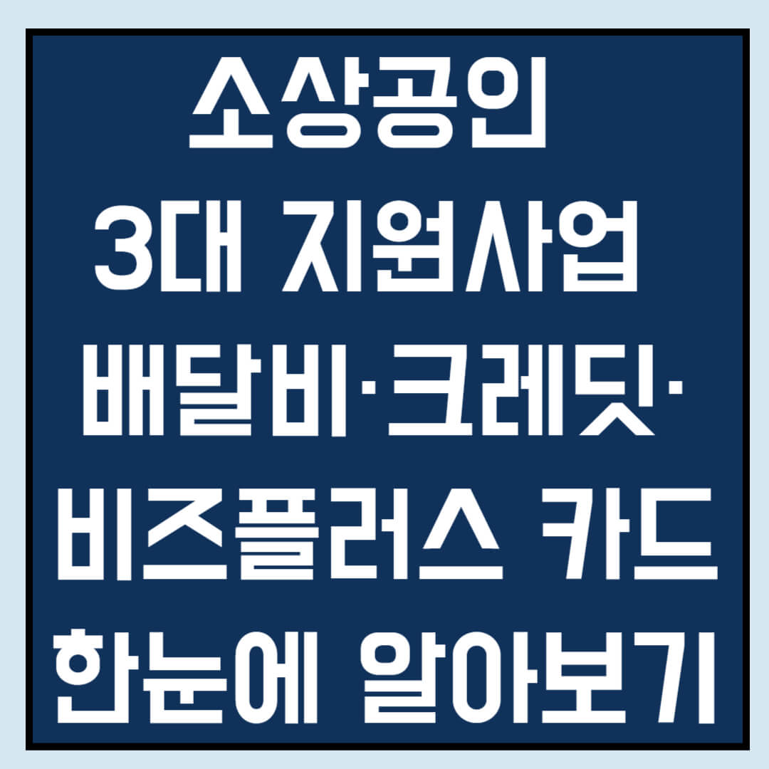 소상공인 3대 지원사업 비교 – 배달비·크레딧·비즈플러스 카드 총정리