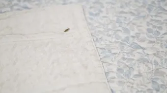 침구 진드기 햇볕 건조와 고온 살균 보관법_15