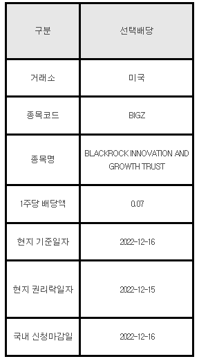 미국주식 선택배당 안내 BIGZ