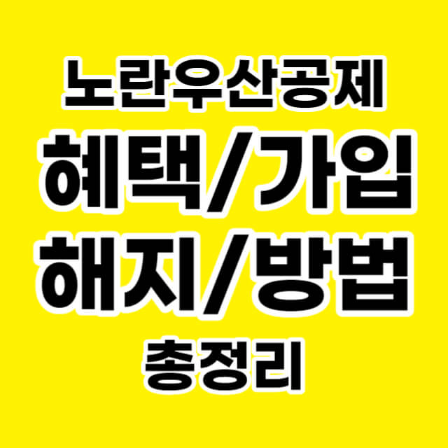노란우산공제