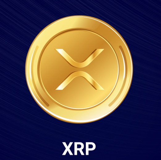 리플(XRP) 2024년 가격 분석 상승 요인과 리스크 정리