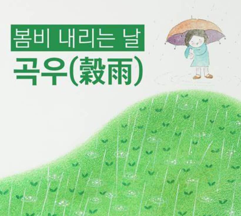 곡우 소개