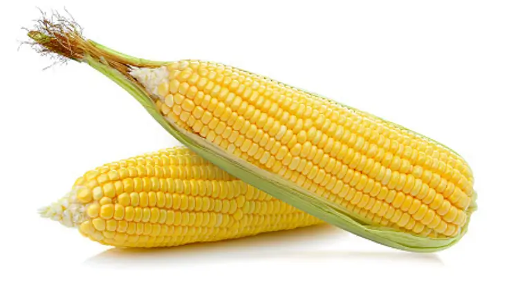 옥수수 삶는 방법