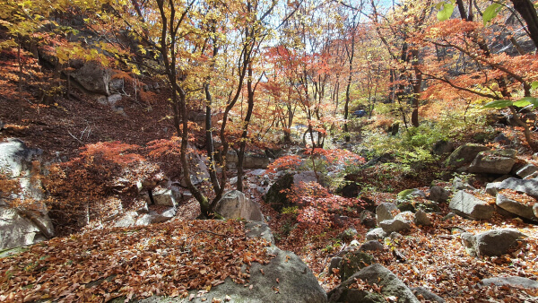 연인산 명품 계곡길 – 가평의 대표 가을 단풍 트레킹 코스