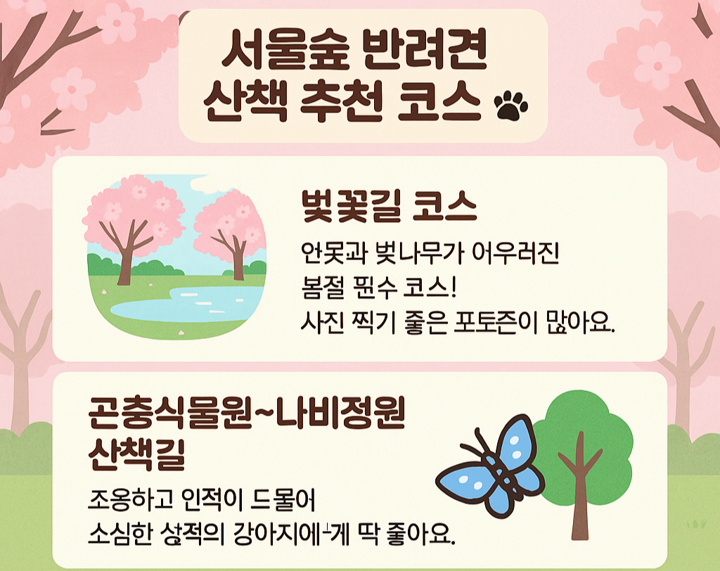 서울숲에서 댕댕이랑 산책하기❘ 도심 속 반려견 놀이터 후기 &amp; 꿀팁 총정리