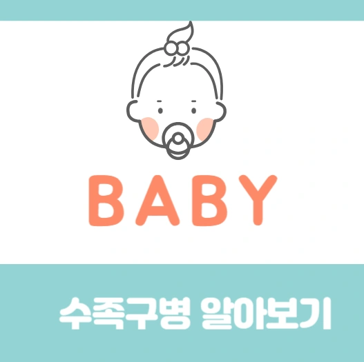 아기 수족구병 알아보기