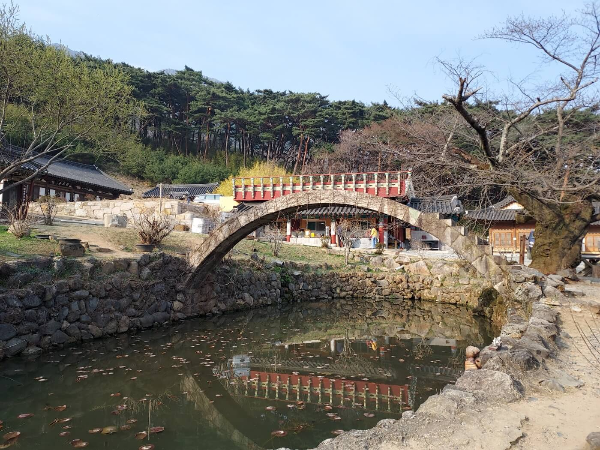 통도사 벚꽃 & 사찰 여행