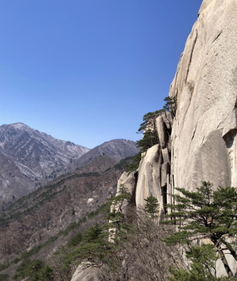 2025 추석연휴 강원도 가볼만한 곳 Best 5