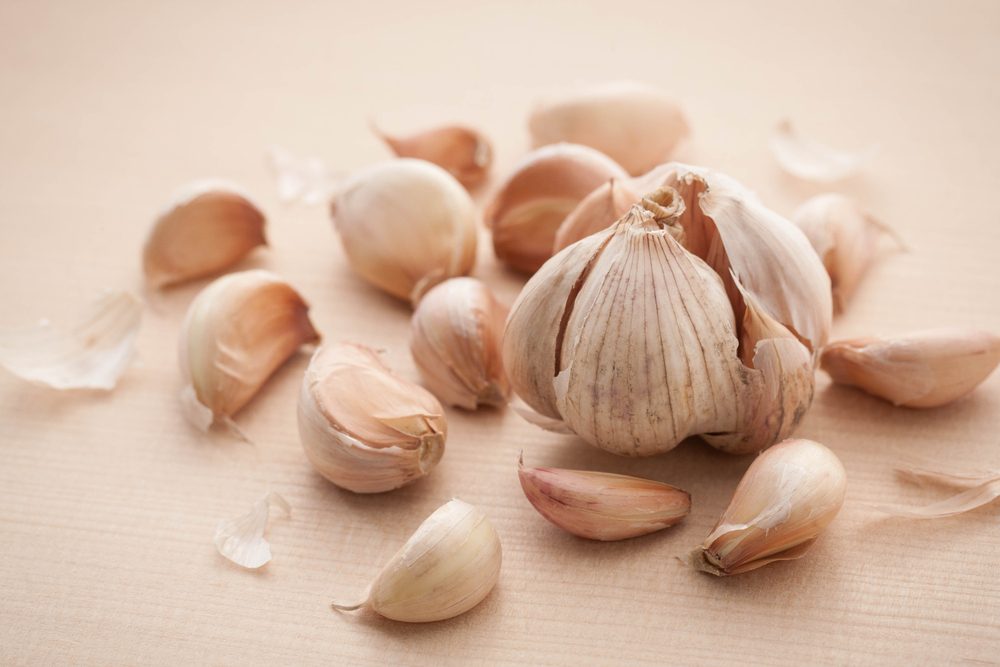 마늘