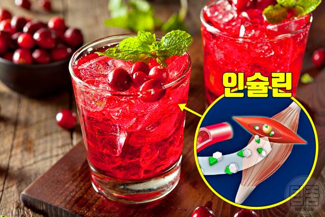 당뇨에 좋은 음식 과일 크랜베리